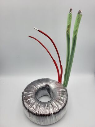 Transformator toroidalny TS 300VA 230V // 6V - 50A